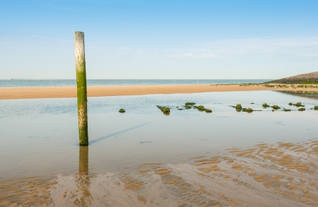 Windless Summer